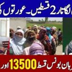 Ehsaas Kafalat Program 13500: Complete Registration and Payment Check Guide 2026